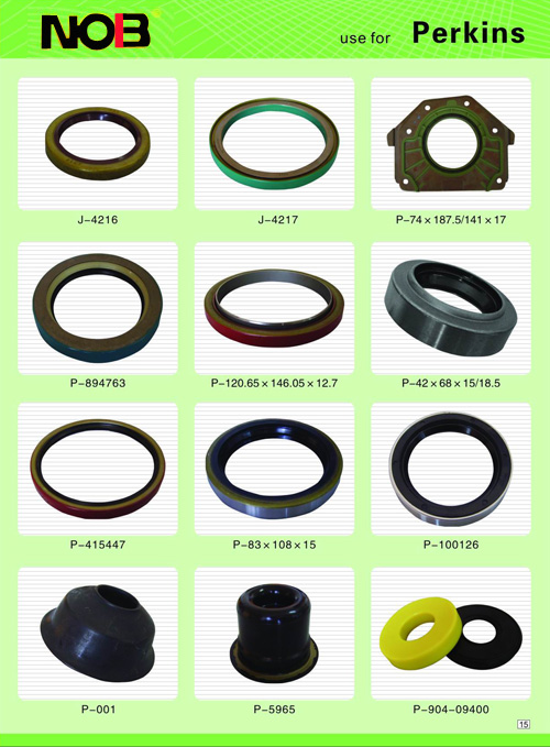 Automotive oil seal