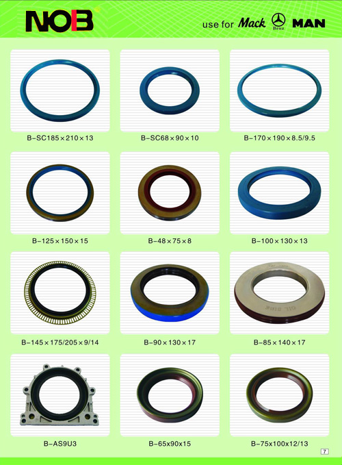 Automotive oil seal