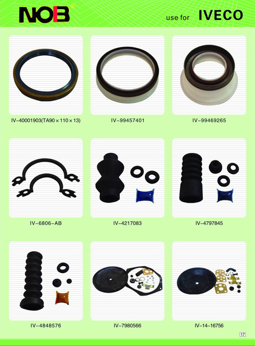 Automotive oil seal