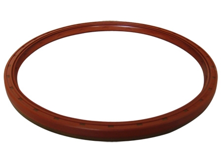 Automotive oil seal