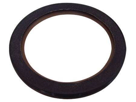 Automotive oil seal