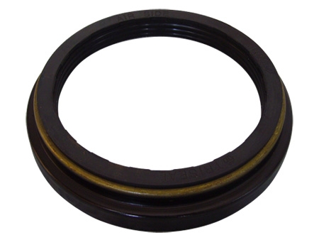 Automotive oil seal