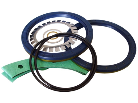 Automotive oil seal