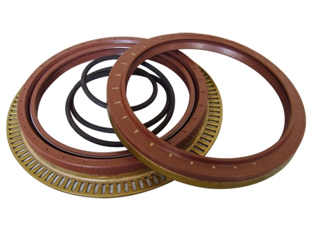 Automotive oil seal