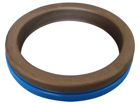 Automotive oil seal