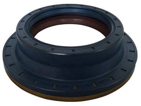 Automotive oil seal